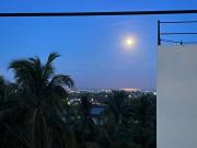 Top Lijia