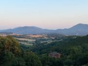 Top Montone