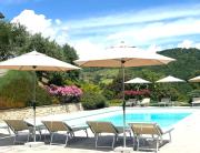 Top Montone