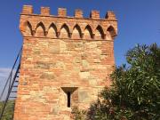 Top Palaia