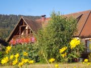 Top Thannenkirch