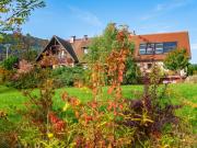 Top Thannenkirch