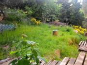 Top Bolquere Pyrenees 2000