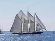 Top Imperia