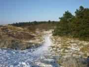 Top St. Peter-Ording