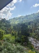 Mount Rivera