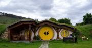 Top Viveiro