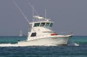 Top Destin