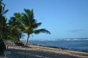 Top Praia do Forte