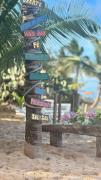 Top Praia do Forte