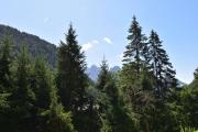 Top Madonna di Campiglio