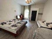 Borjomi Central apartments