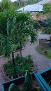 Top Watamu