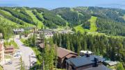 Top Whitefish