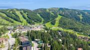 Top Whitefish