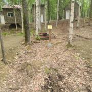 Top Wasilla