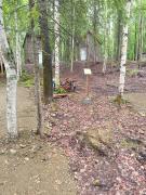 Top Wasilla