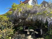 Top Seelitz