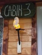 Forest Cabin 3