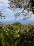 Top Montezuma