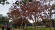 Top Santiago