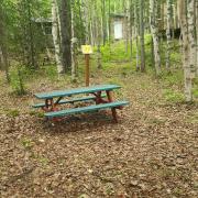 Top Wasilla