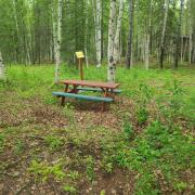 Top Wasilla