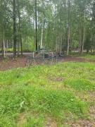 Top Wasilla