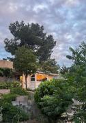 Top Cottonwood