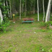 Top Wasilla