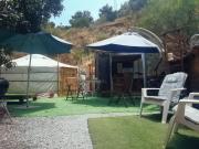 Top Algarrobo