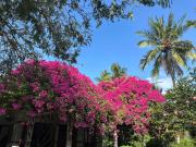 Que Nha Homestay