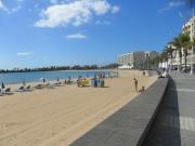 Top Arrecife