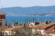 La Palme Dor