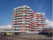 Sterflat 113