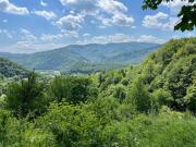 Top Tyudiv