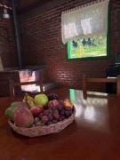 Top Gramado