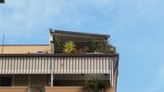 Top Rome