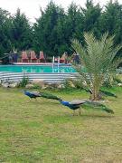 Top Villa Residencial Laguna Brava