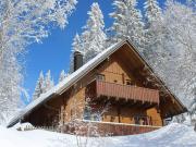 Holiday home in Feldberg with swimming pool