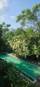 Top Tanjung