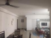 Top Chennai