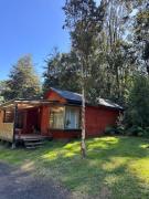 Top Lago Ranco