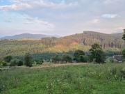 Top Lazeshchyna