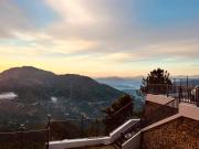 Top Solan
