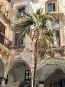 Top Palermo