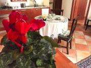 Napoli Charming Apartments Salvator Rosa "Cool and Sweet" Parking on request