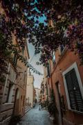 Top Nettuno