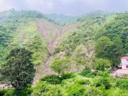 Top Solan