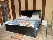 Top Solan